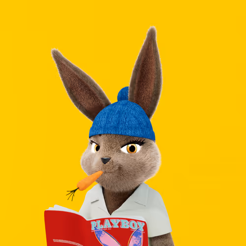 Playboyrabbitars