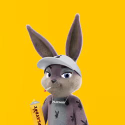 11038