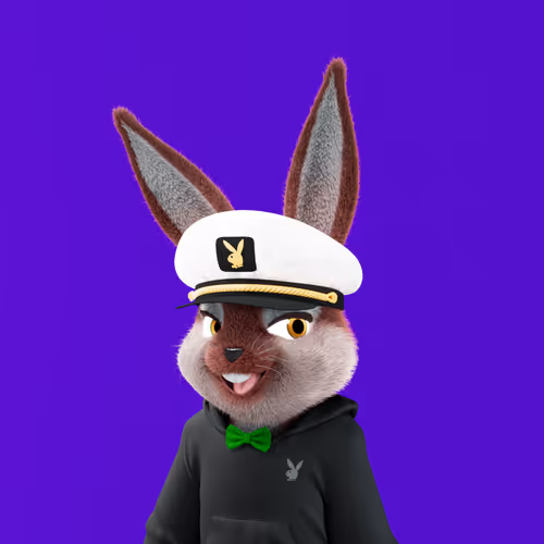 Playboyrabbitars