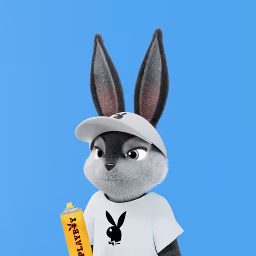 Playboyrabbitars