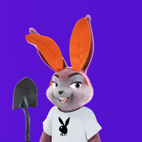 Rabbitar #4755