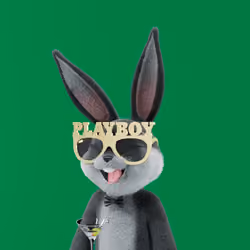 Rabbitar #10445