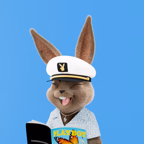 Rabbitar #3648