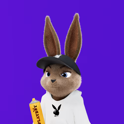 Playboyrabbitars