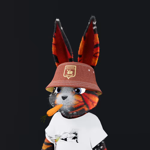 Playboyrabbitars