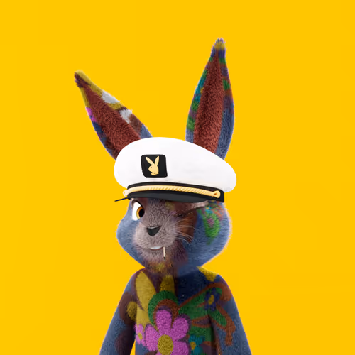 Playboyrabbitars