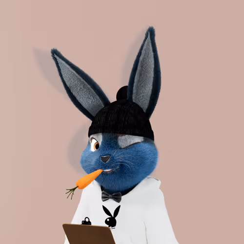 Playboyrabbitars