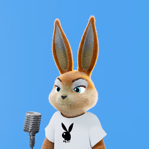 Playboyrabbitars