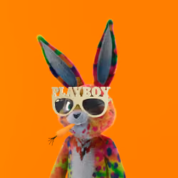 Rabbitar #6942