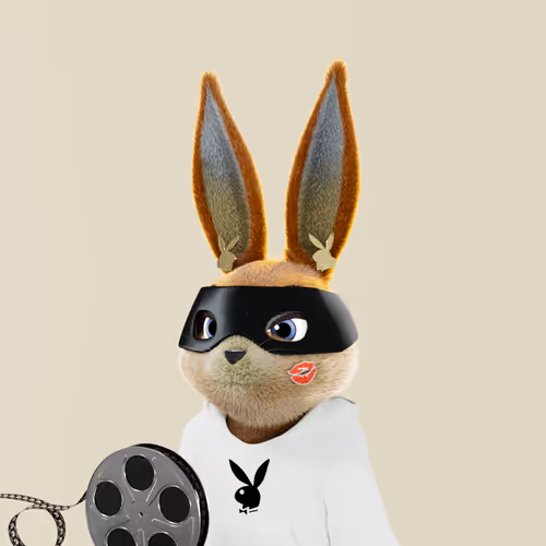 Playboyrabbitars