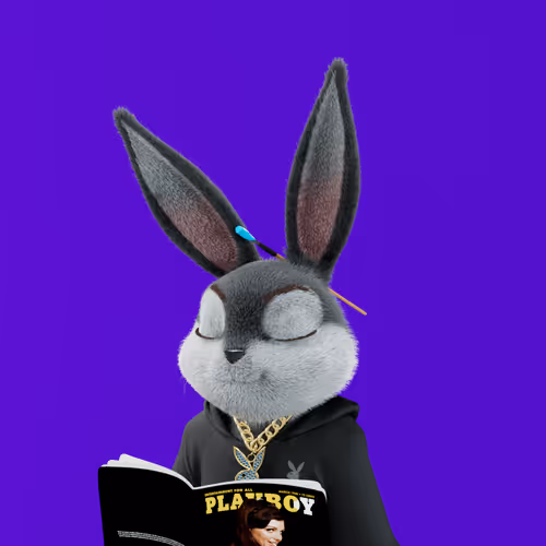 Playboyrabbitars