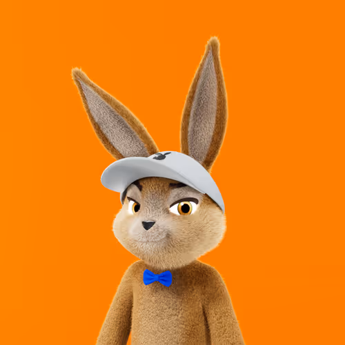 Playboyrabbitars