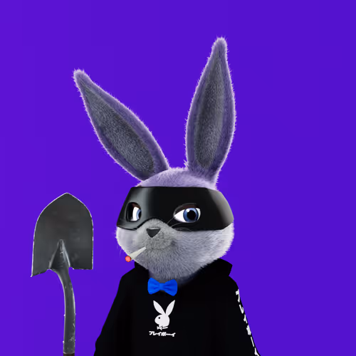 Playboyrabbitars