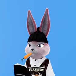 Rabbitar #5070