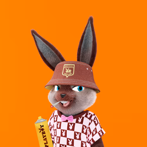 Playboyrabbitars