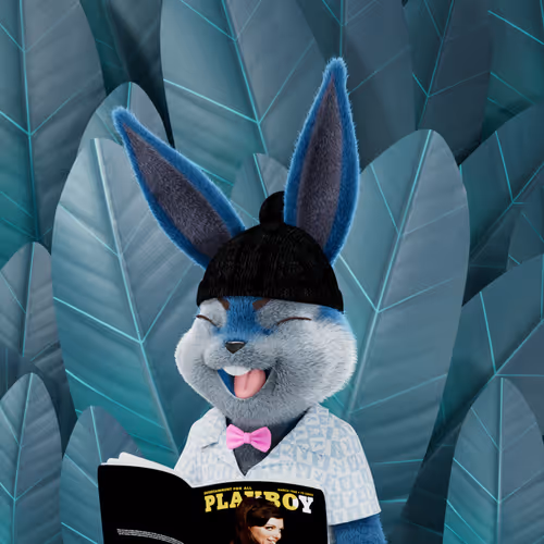 Playboyrabbitars