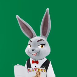 Rabbitar #3040