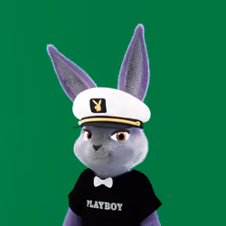 Rabbitar #2491