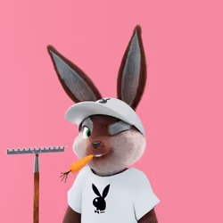Rabbitar #8346