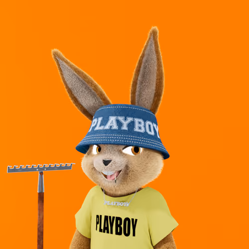 Rabbitar #4641