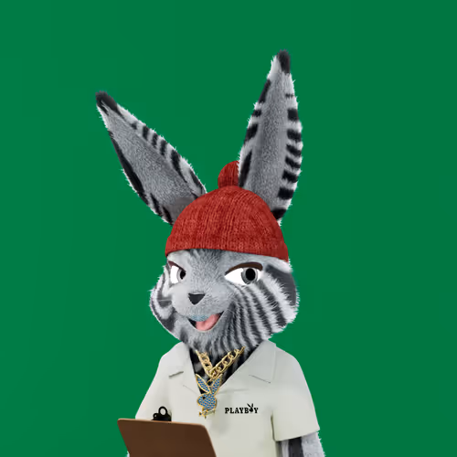Playboyrabbitars