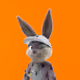 5429