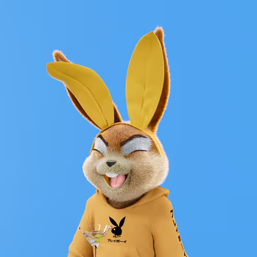 Playboyrabbitars