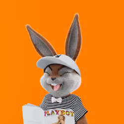 Rabbitar #10102