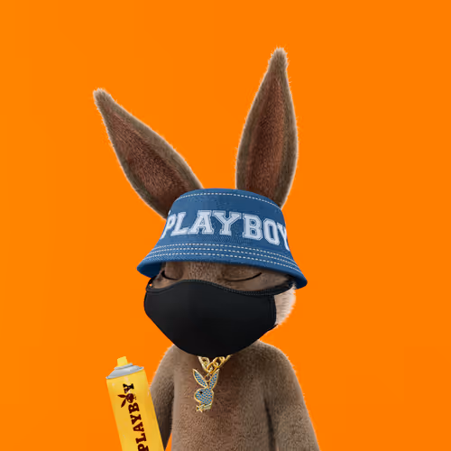 Playboyrabbitars