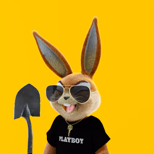 Rabbitar #10382
