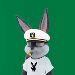 Rabbitar #9724