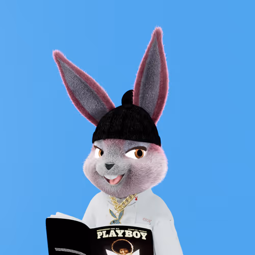 Playboyrabbitars