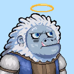 Yeti Town #772