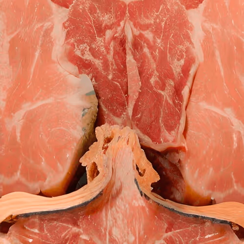 The Meat By Royal Kebab