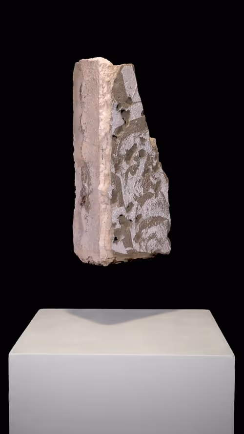 Item #59300090034 Media