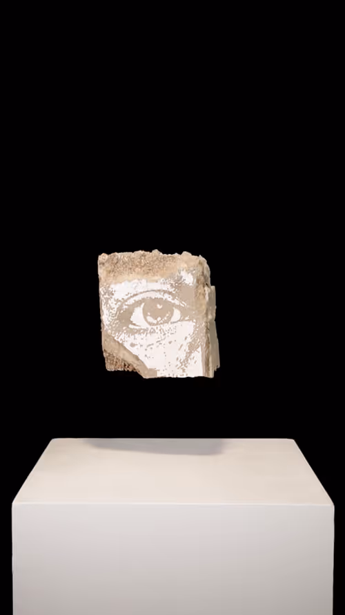 Item #59300070019 Media