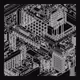 Plasticity #247