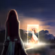 Reflected Lives V2