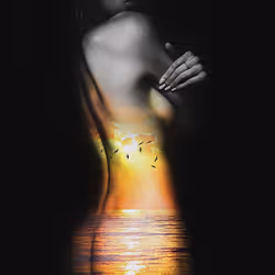 项目媒体占位符