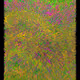 815