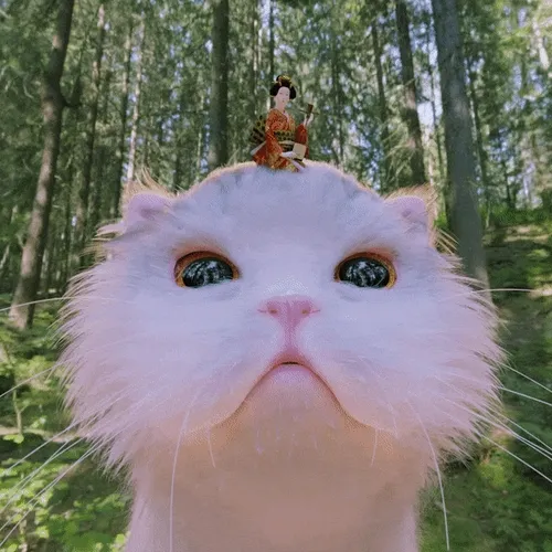 Neko Nation #1664