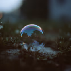 Transient Dreams