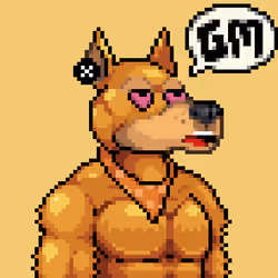 Skydog #2578