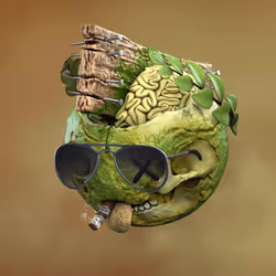 Item Media