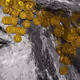 20400010002