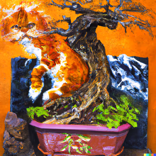 Bonsai Hidt5kf6eb