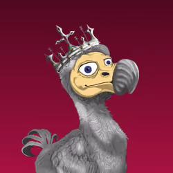 Dodo Collection Official #2