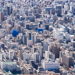 Tokyo Forest 01 Ed#1/5