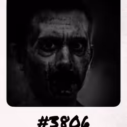 3806