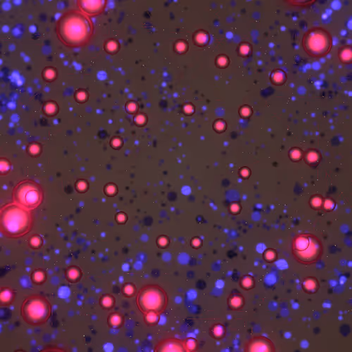 Cosmic Bloom #1250